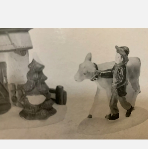 Deot 56 tending the New calves - Picture 8 of 11